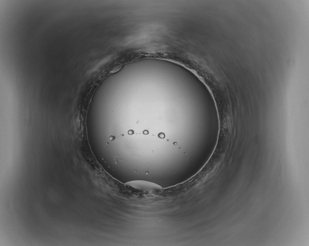 X0000116151398200911231322