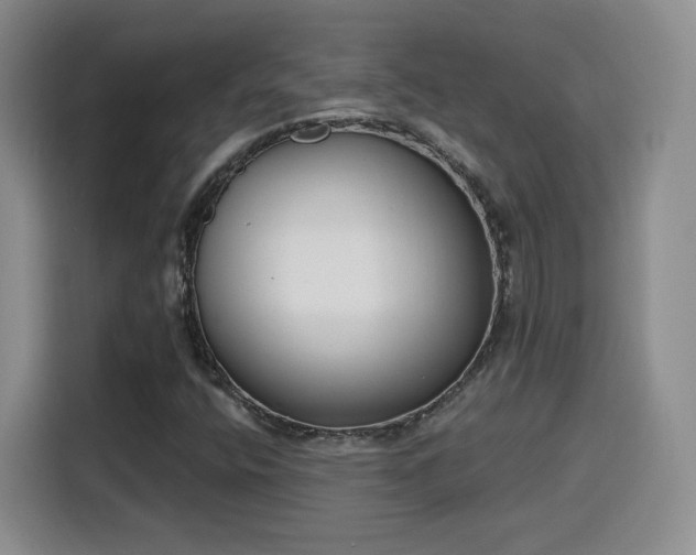 X0000116151400200911231322