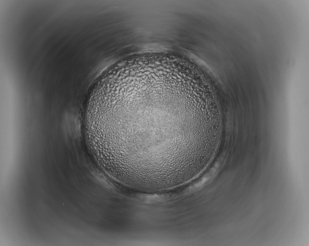 X0000116151401200911231322