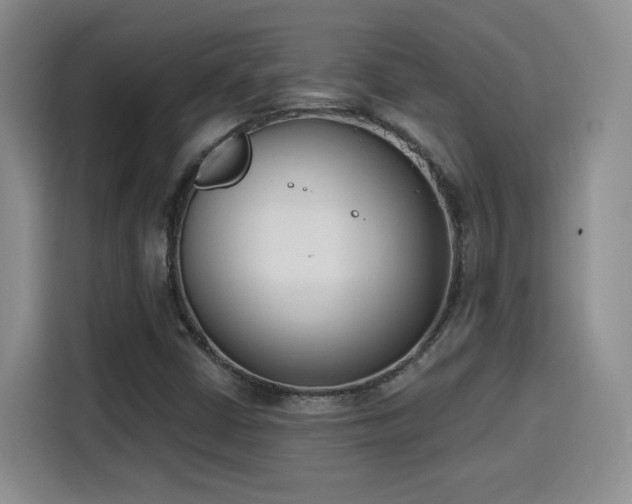 X0000116151402200911231322