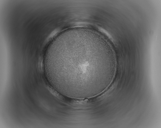 X0000116151403200911231322