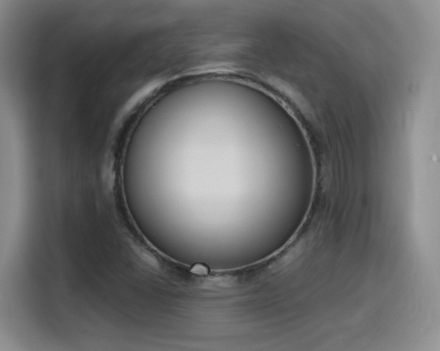 X0000116151406200911231322