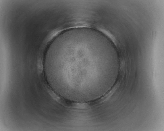 X0000116151407200911231322