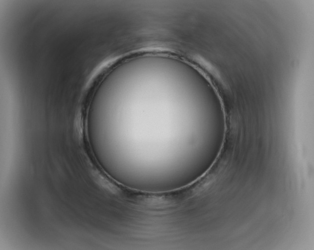 X0000116151408200911231322