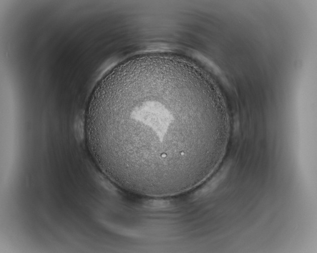 X0000116151409200911231322