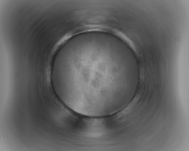 X0000116151411200911231322