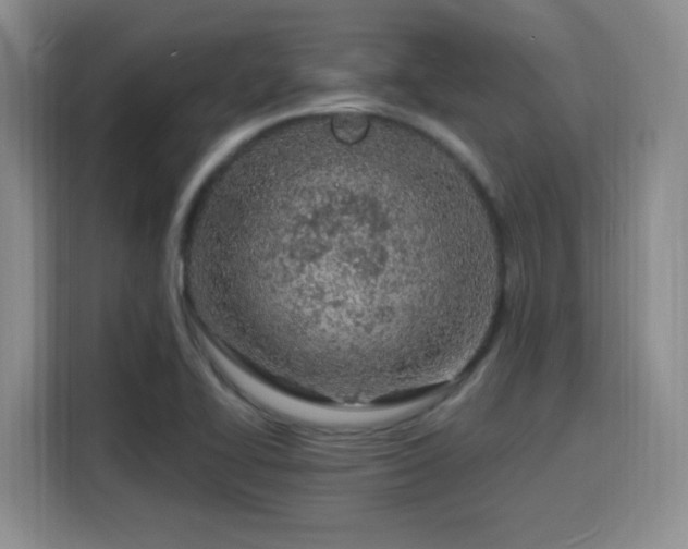 X0000116151414200911231322