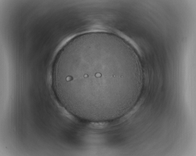 X0000116151415200911231322