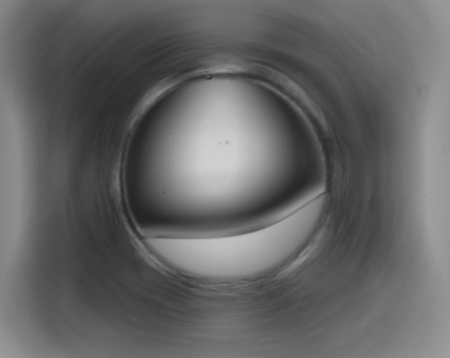 X0000116151417200911231322