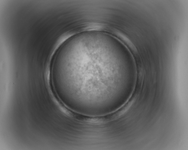 X0000116151418200911231322