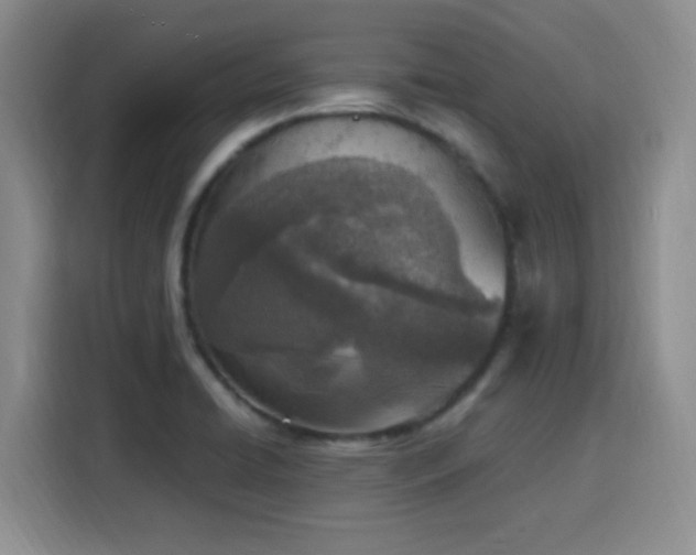 X0000116151422200911231322