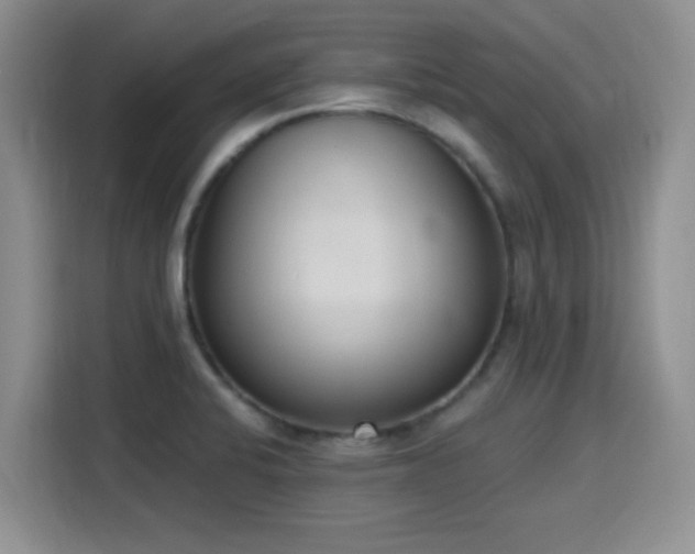 X0000116151424200911231322