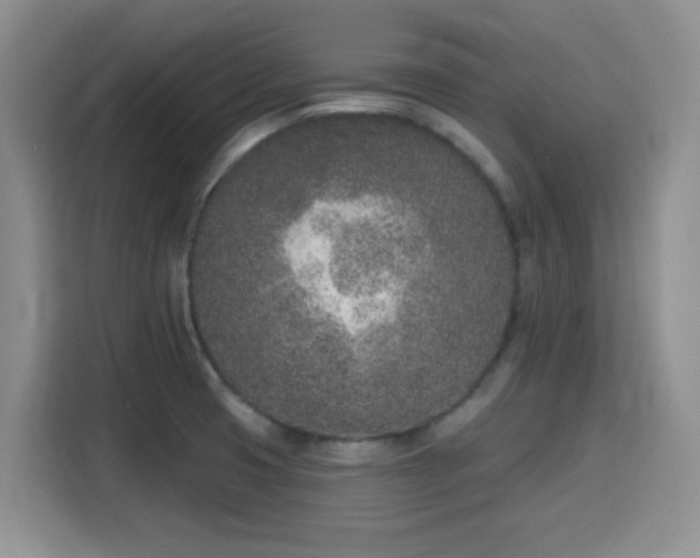 X0000116151425200911231322