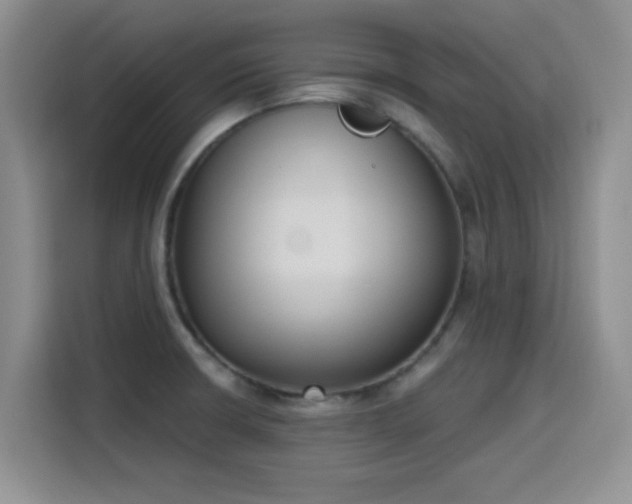 X0000116151426200911231322