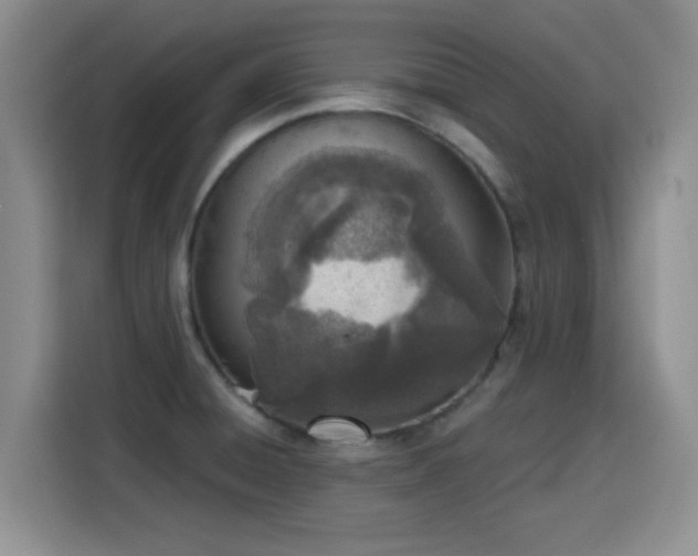 X0000116151428200911231322