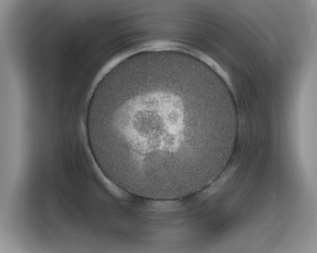 X0000116151429200911231322