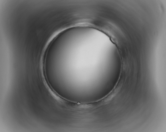 X0000116151430200911231322