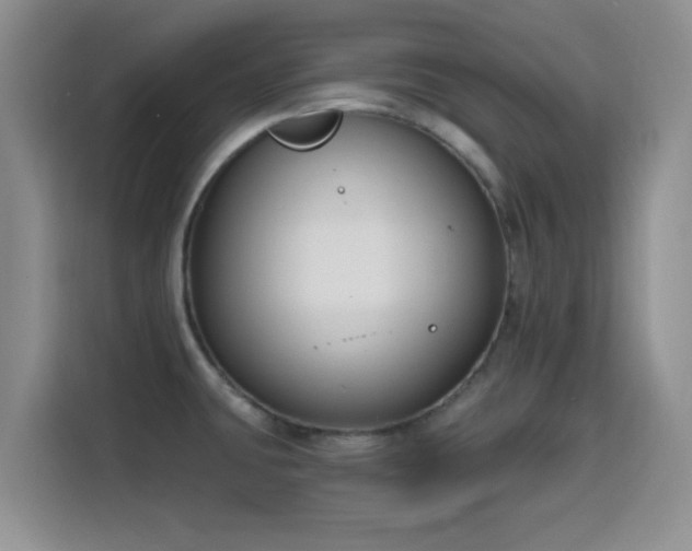 X0000116151431200911231322