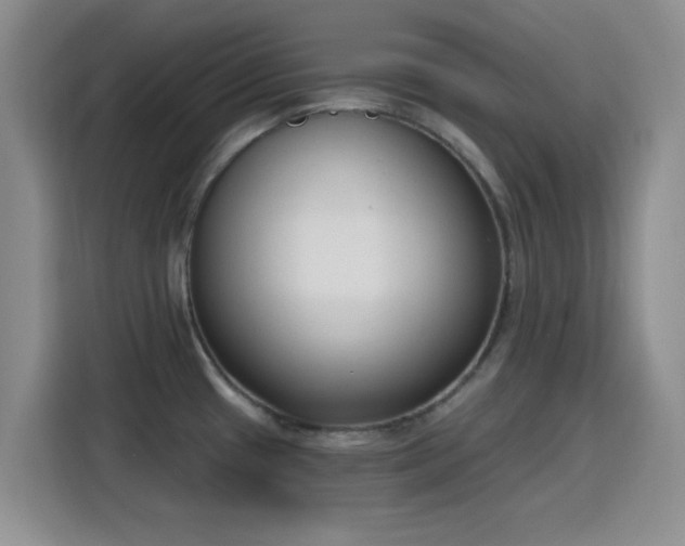 X0000116151433200911231322