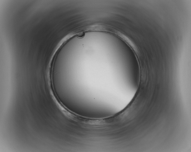 X0000116151434200911231322