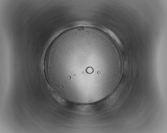 X0000116151435200911231322