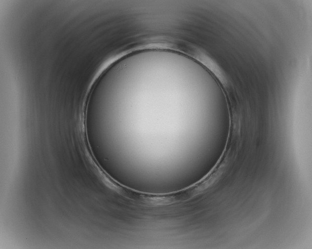 X0000116151436200911231322