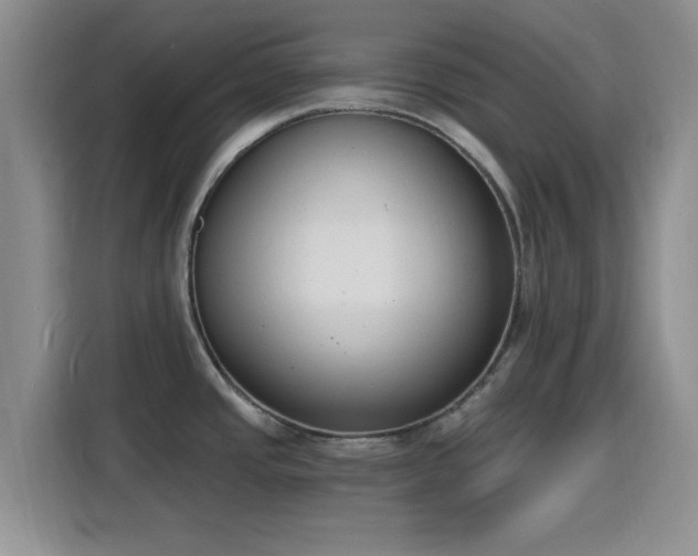 X0000116151437200911231322