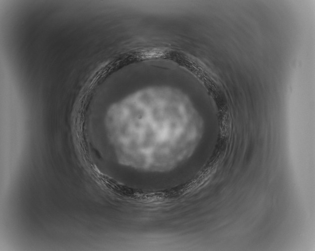 X0000116151441200911231322