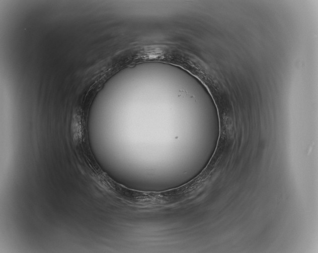 X0000116151442200911231322