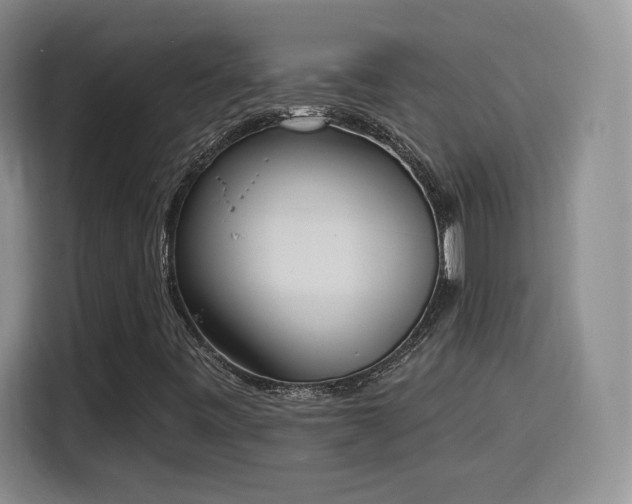 X0000116151443200911231322