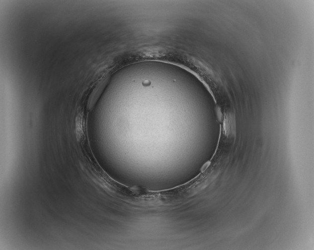 X0000116151444200911231322