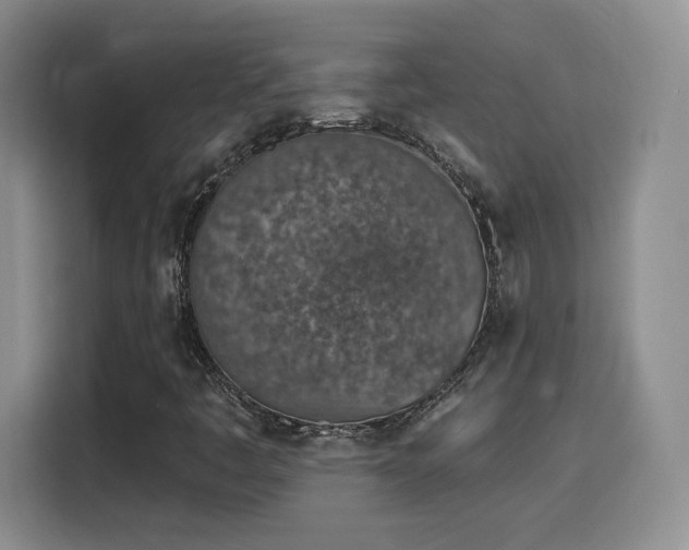 X0000116151445200911231322