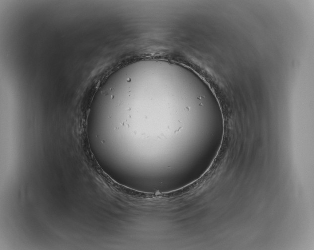 X0000116151447200911231322