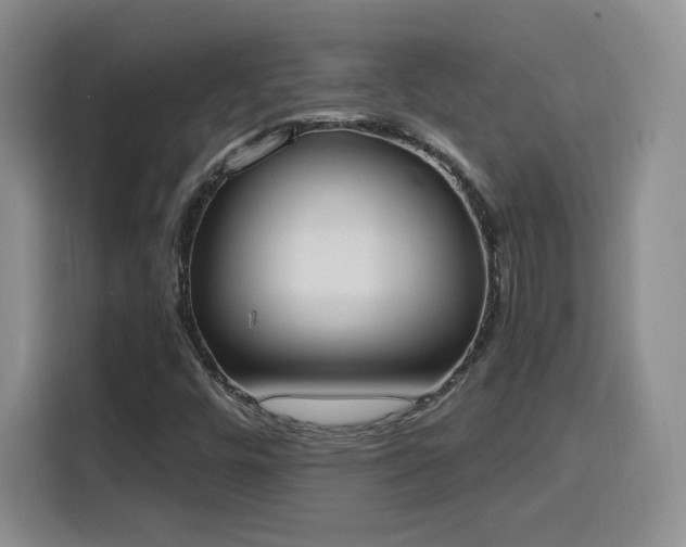 X0000116151448200911231322