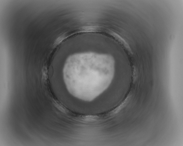 X0000116151449200911231322