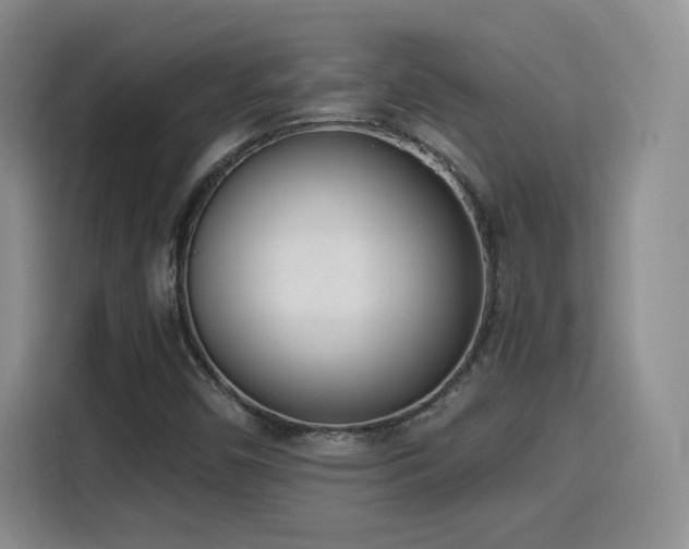 X0000116151450200911231322