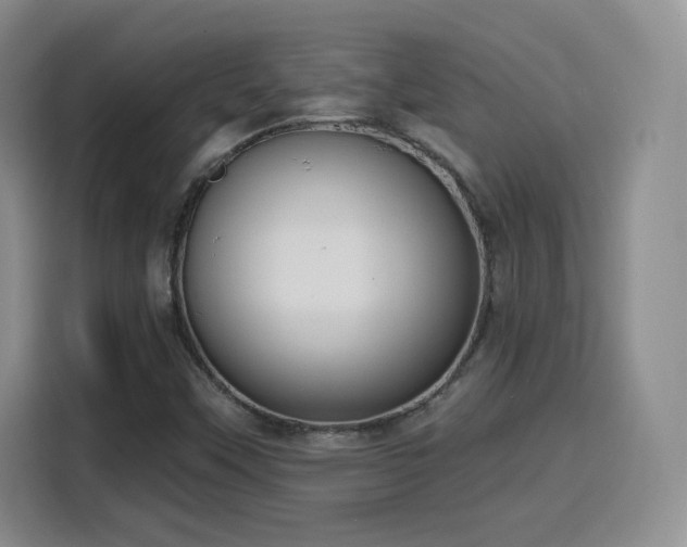 X0000116151451200911231322