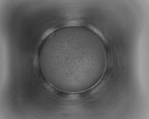 X0000116151453200911231322