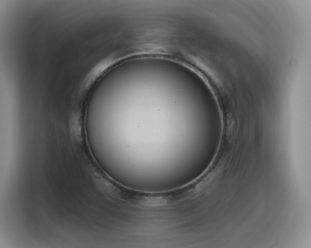 X0000116151455200911231321