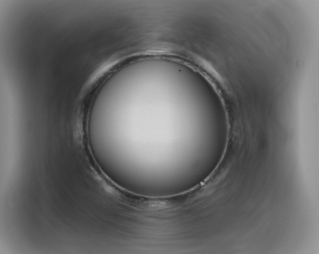 X0000116151456200911231321