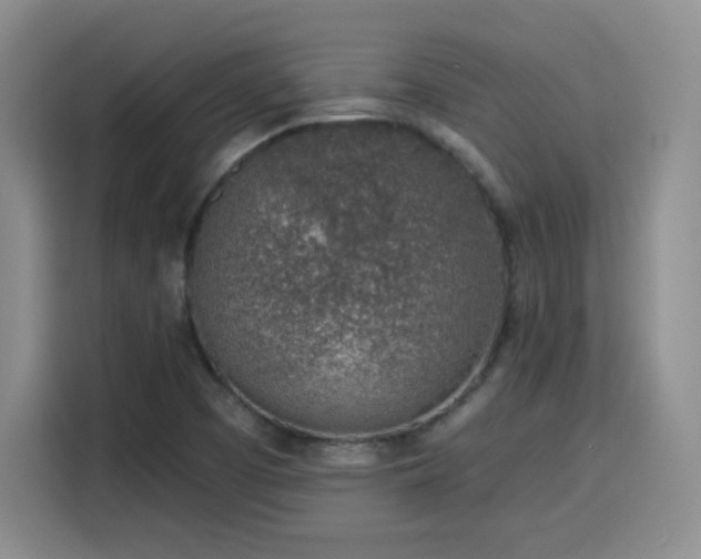 X0000116151457200911231321