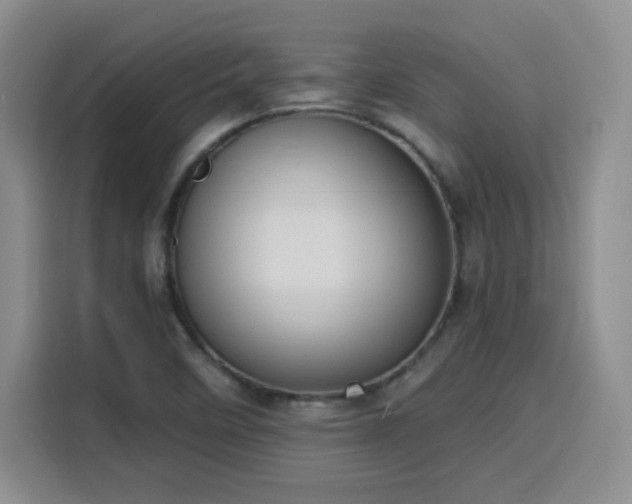 X0000116151458200911231321