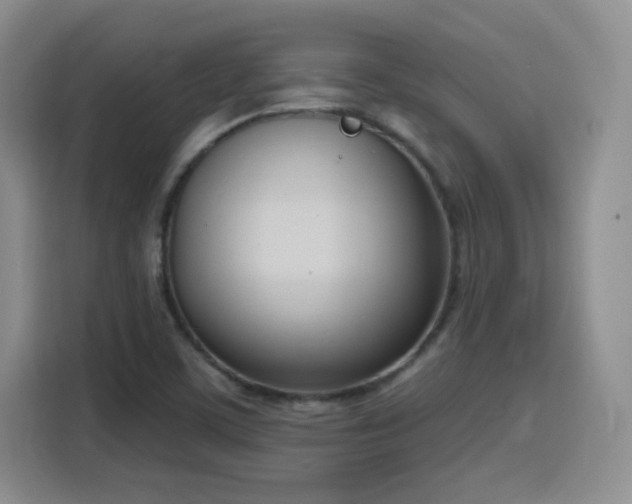 X0000116151459200911231321