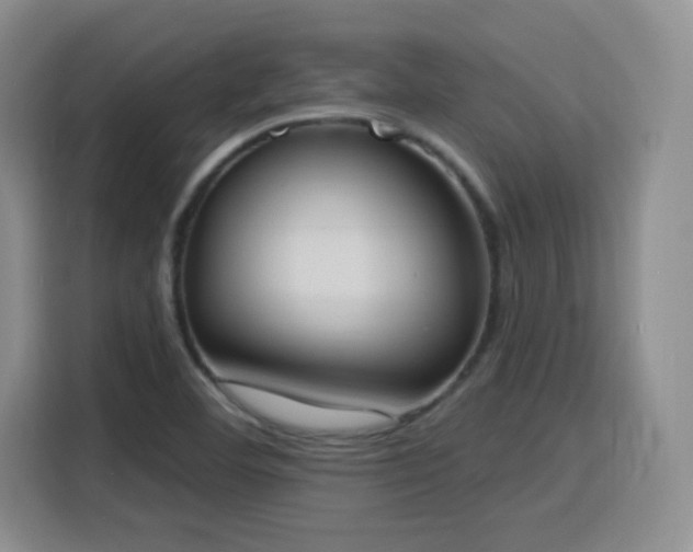 X0000116151460200911231321