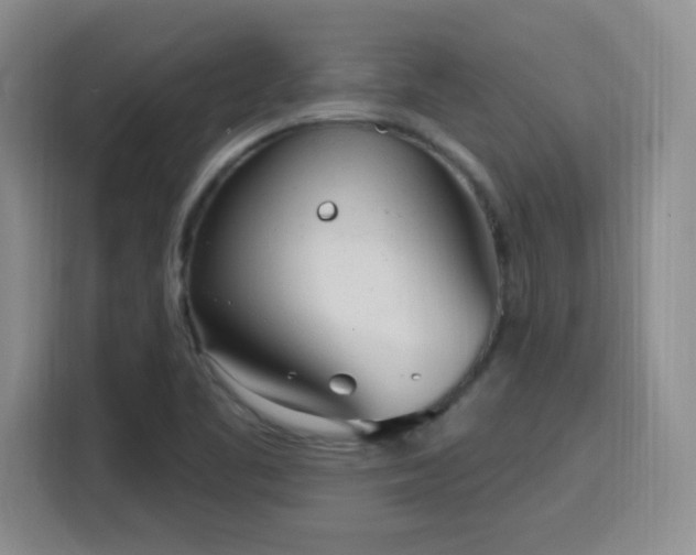 X0000116151461200911231321