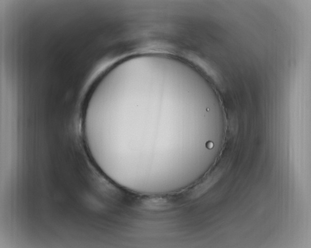 X0000116151462200911231321