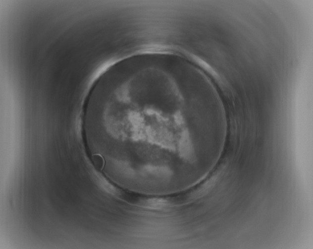 X0000116151463200911231321