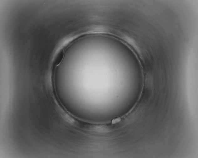 X0000116151464200911231321