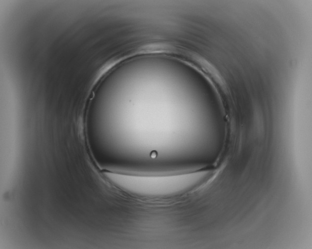 X0000116151465200911231321