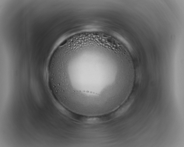 X0000116151467200911231321